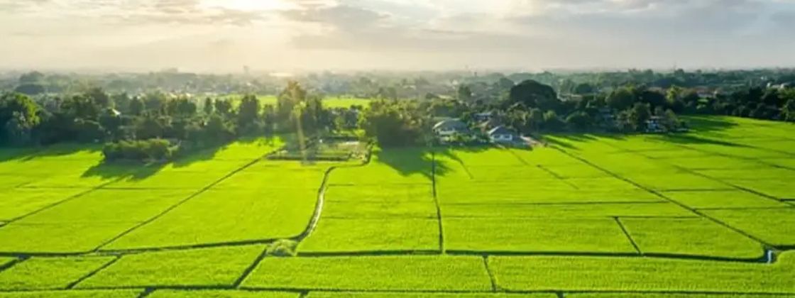 HoABL Plots Nagpur